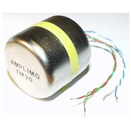 Amplimo TM20