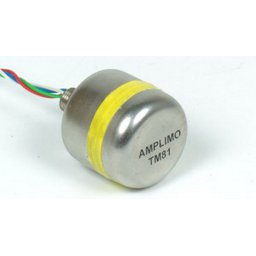 Amplimo TM81